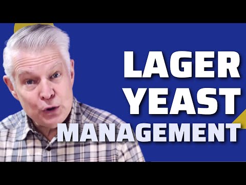Brewing Beer: Fermentation Yeasts - Lager Yeast Management