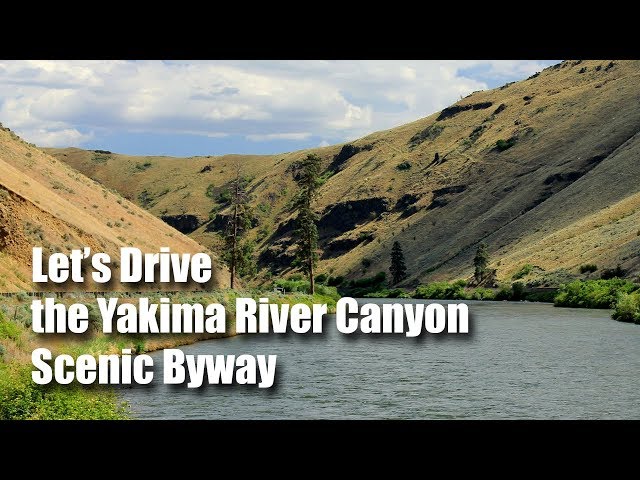Pronunție video a Yakima în Engleză