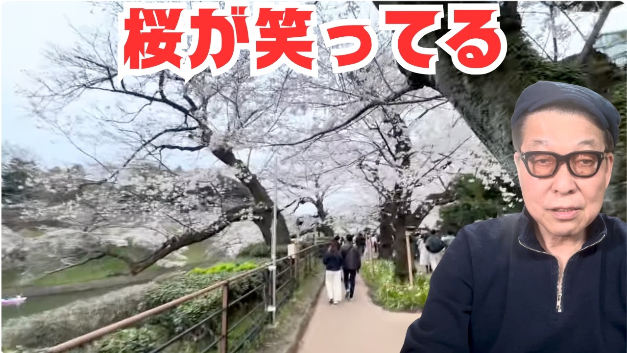 桜満開・千鳥ヶ淵散歩（2026）