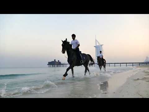 download lagu mp3 mp4 Media Onclick Dubai, download lagu Media Onclick Dubai gratis, unduh video klip Media Onclick Dubai