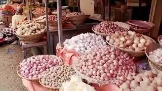 Download lagu The Muaros - Cita - Cita Bukittinggi mp3 Download lagu The Muaros - Cita - Cita Bukittinggi mp3