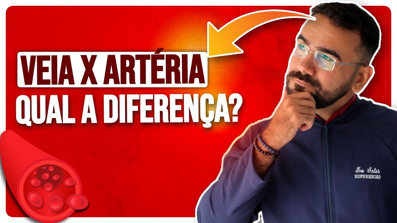 VEIA E ARTÉRIA: TUDO QUE VOCÊ PRECISA SABER SOBRE AS VEIAS E ARTÉRIAS
