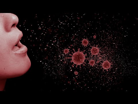 Das Vitamin beim Ekzem Die Diagnostik des wahrhaften Ekzems
