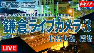 鎌倉 若宮大路 段葛ライブカメラ3「置石fm.第3」Japan Kamakura Live Camera okiishi-fm  🌸🌿⛩  #鎌倉 #お天気 #道路状況 #JapanTourism live webcam
