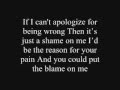 Akon - Sorry, Blame It On Me + Lyrics 