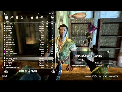 Let's Play Modded Skyrim on Legendary Part 129: Arrival in Ivarstead