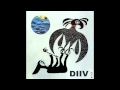 DIIV - Sometime [Album Version] 