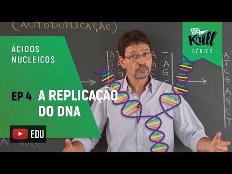 BioKrill Series - Replicação do DNA (Ácidos Nucleicos - EP 4)