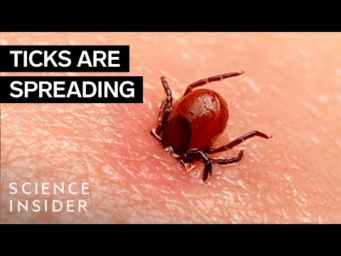 , title : 'Why Ticks Are So Hard To Kill'