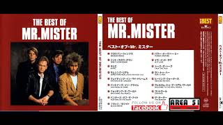 Mr  Mister - Waiting in My Dreams