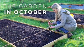 The Garden in October