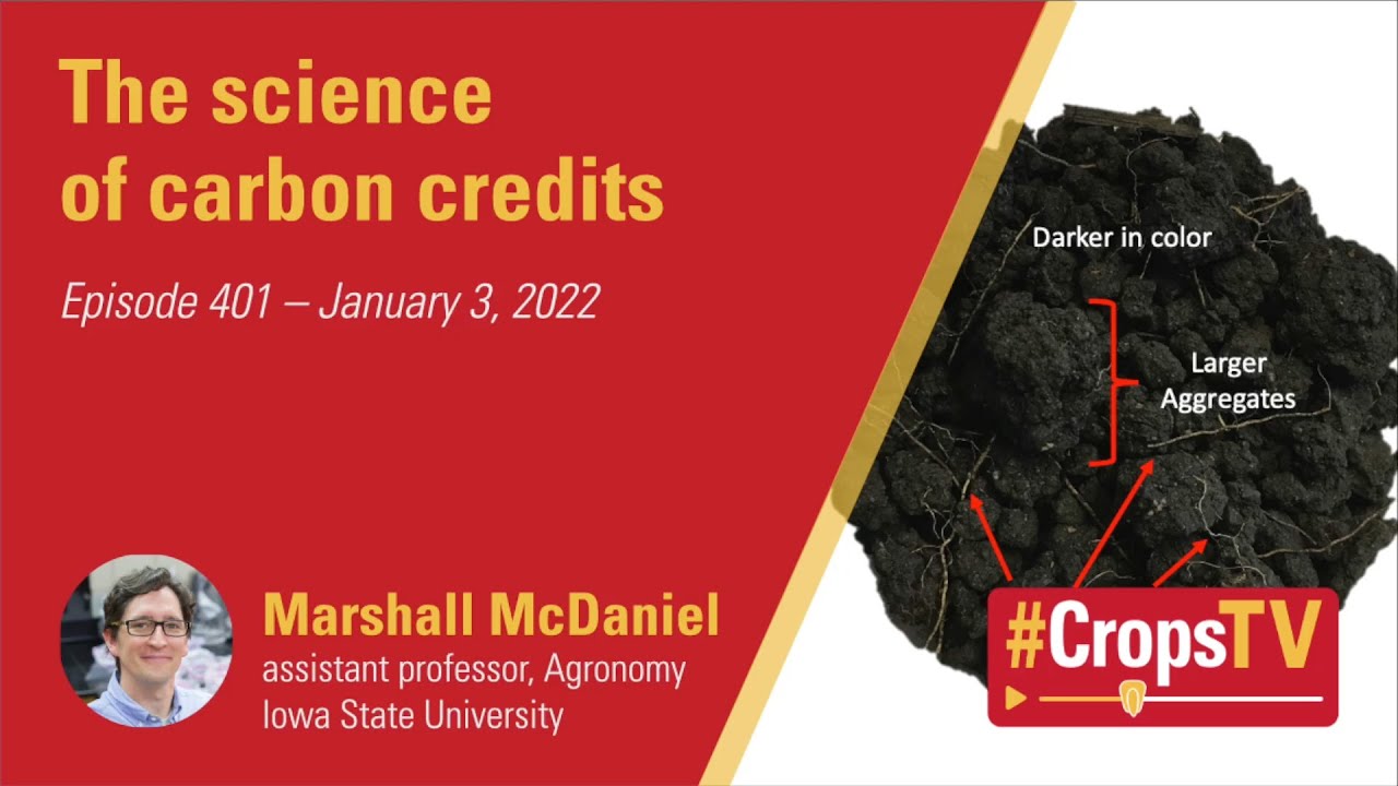 The science of carbon credits