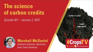 The science of carbon credits