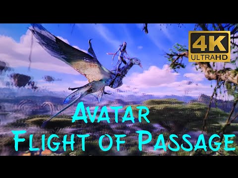 Avatar Flight of Passage 4K POV full ride