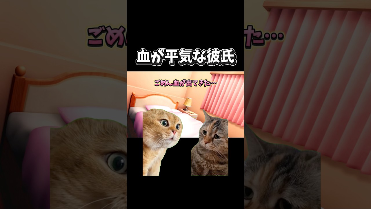 【猫ミーム】血が平気な彼氏