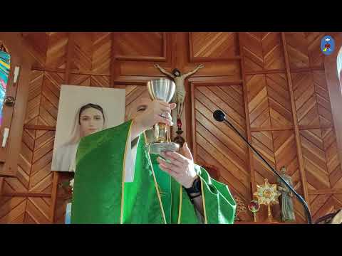 Pustelnia 27.02.2022 - Kazanie o.Daniela - Brońmy Kościoła, Kapłani przebudźcie się!