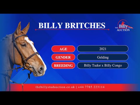 Billy Britches