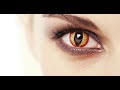 Were Contact Lenses Invented by Leonardo da Vinci?
