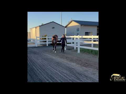 Zeaction Update I 120524