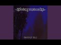 The Trooper (Cover Version)