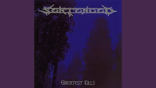 The Trooper (Cover Version)