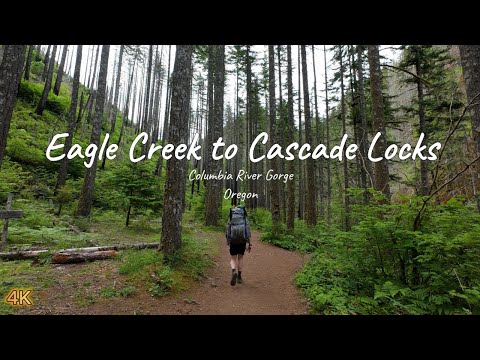 Solo hiking, Eagle Creek Trail to Cascade Locks via PCT. 2 nights, 2 days, 31 miles. Oregon. ASMR