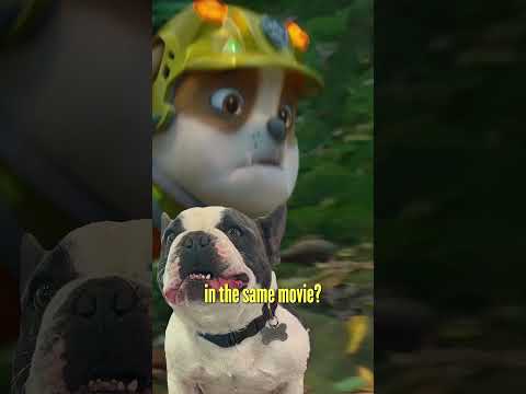 video-thumbnail