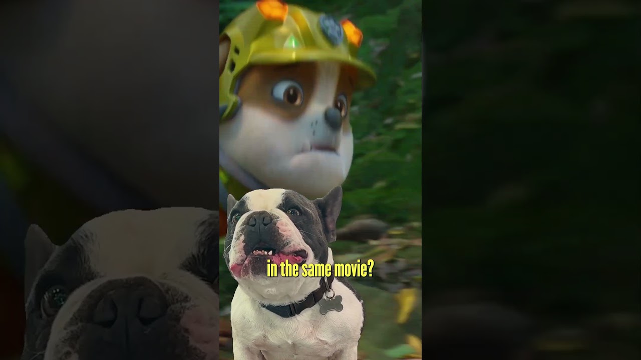 Video náhled