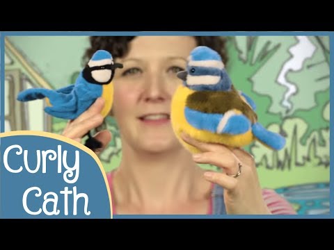 Two Little Dicky Birds | Nursery Rhyme | Curly Cath
