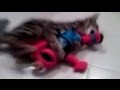 Tigger Vs Elmo