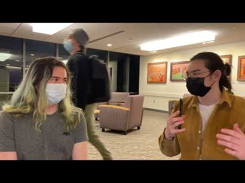 Interview with TFL | Zetami @Domino Effect 19