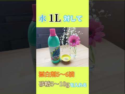 蘭の花を長持ちさせるための適切なケア  庭園