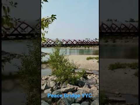 Peace Bridge is so beautiful 😍 Have you ever been there? #peacebridge #downtown #yyc #workonline