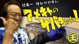 【村田基】日本一分かりやすい!アメキャのさばき方!【サロンメンバー】#村田基 #釣り #さばき方 #料理