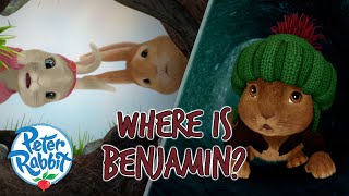 ​@Peter Rabbit  - Where Has Benjamin Gone?! 👀 🐇 | Lost And Found | Compilation | Cartoons for Kids