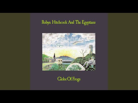 Flesh Number One (Beatle Dennis) - Robyn Hitchcock