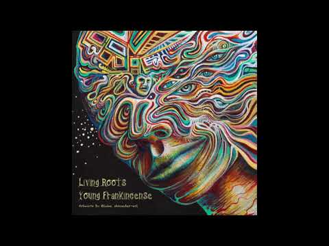 Young Frankincense Living Roots