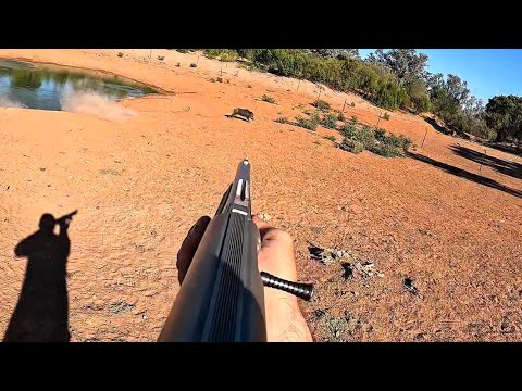 Pig Hunting NSW | Part 3 Dec 2025