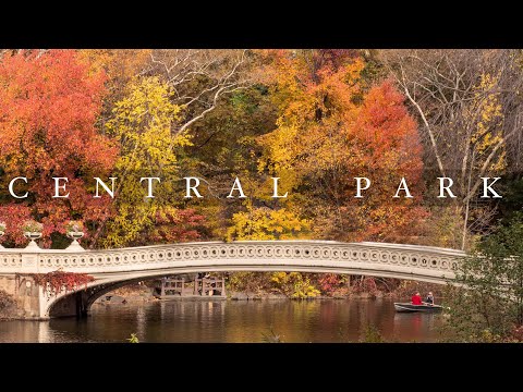 Autumn in Central Park (4k)