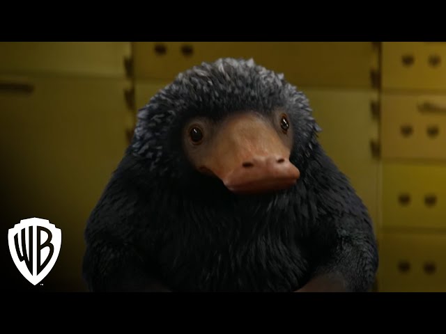 Creatures: Niffler