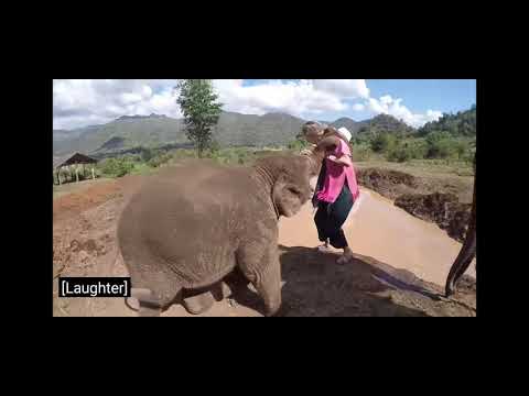 TRY NOT TO LAUGH | Funny Weekend At The Zoo - LAUGH TRIGGER