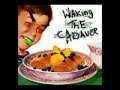 Waking The Cadaver Chased Through The Woods