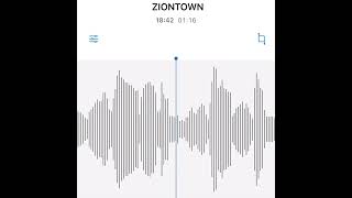 - #駄菓子cOver型 - ZION TOWN/the band apart