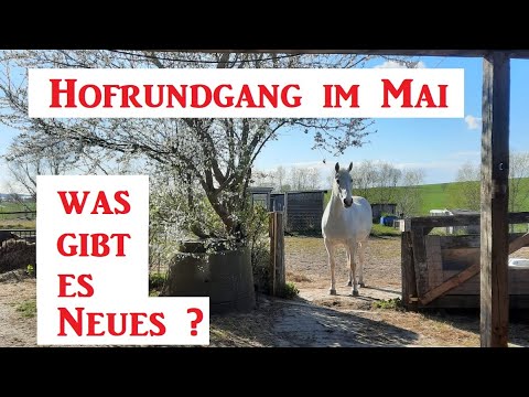 Hofrundgang im Mai ! Was machen die Küken ? Und was gibt es Neues ?