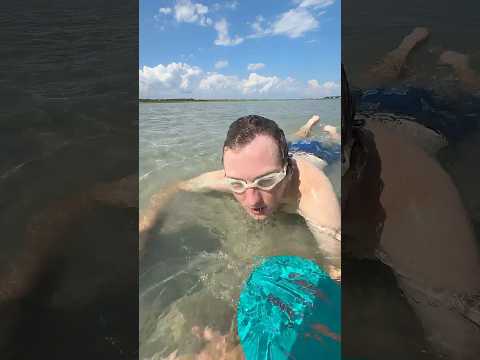 DON’T GO IN THE WATER WITH HIM