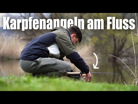 Karpfenangeln - Flusskarpfen im kalten Frühjahr