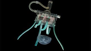 video: Robot with ‘fettuccini-like fingers’ built by Harvard to catch jellyfish

