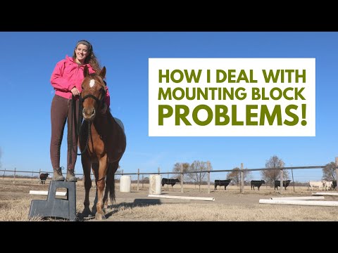 Horse Won't Stand Still To Mount: Easy Training Solution