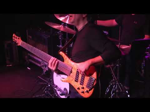 Great bass solo by Jimmy Haslip with the Oz Noy Trio - Live in Europe 2016