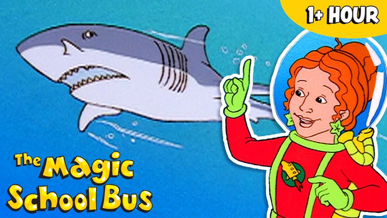 Fish and Aquatic Creatures | Full Episodes | The Magic School Bus